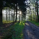 Veluwe Park Reewold Eclipse