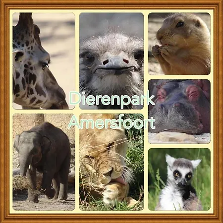 펜션 Veluwe Park Reewold Eclipse