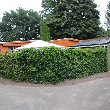 Veluwe Park Reewold Eclipse * Putten