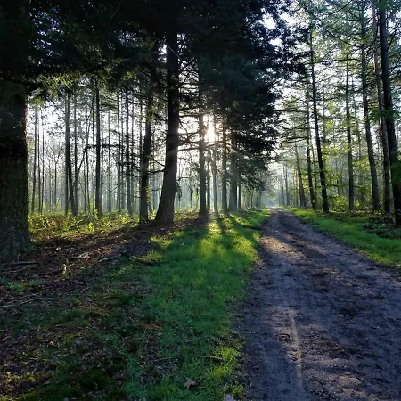 Veluwe Park Reewold Eclipse
