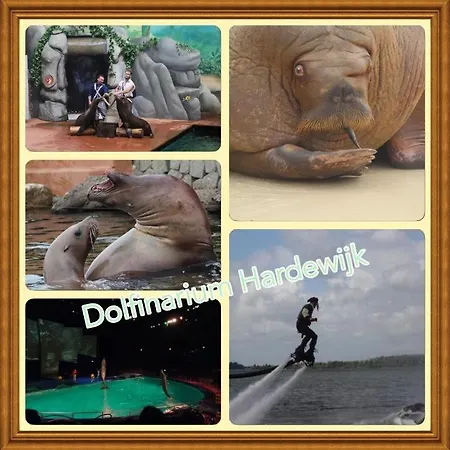 Holiday home Veluwe Park Reewold Eclipse