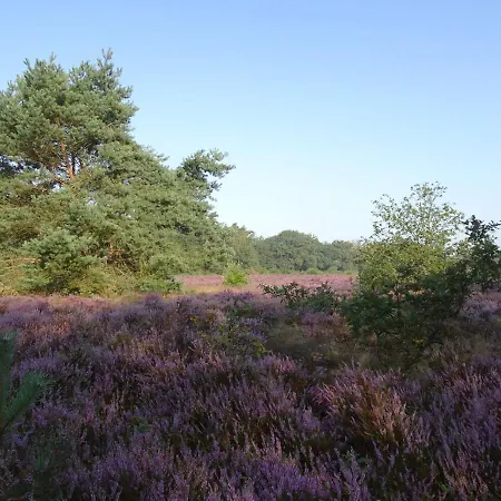 Veluwe Park Reewold Eclipse *