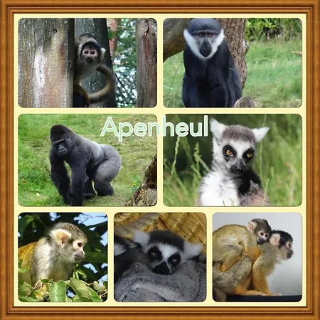 Holiday home Veluwe Park Reewold Eclipse