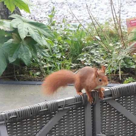 Veluwe Park Reewold Eclipse Holiday home Putten