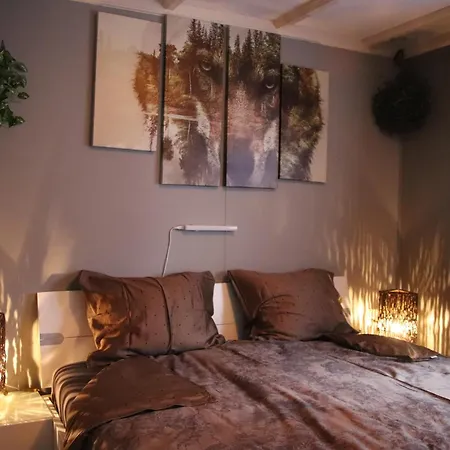 Dom wakacyjny Veluwe Park Reewold Eclipse *