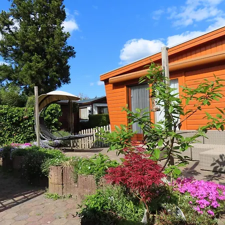 Veluwe Park Reewold Eclipse Holiday home *