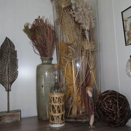 Veluwe Park Reewold Eclipse *