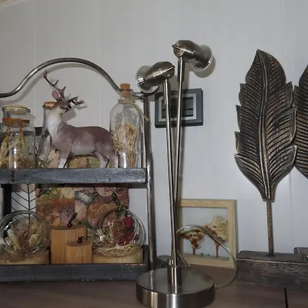 Veluwe Park Reewold Eclipse Holiday home *