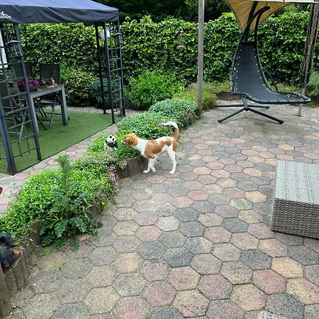 Veluwe Park Reewold Eclipse *