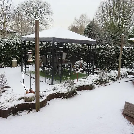 Veluwe Park Reewold Eclipse