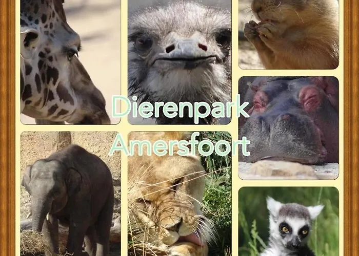 Ferienhaus Veluwe Park Reewold Eclipse