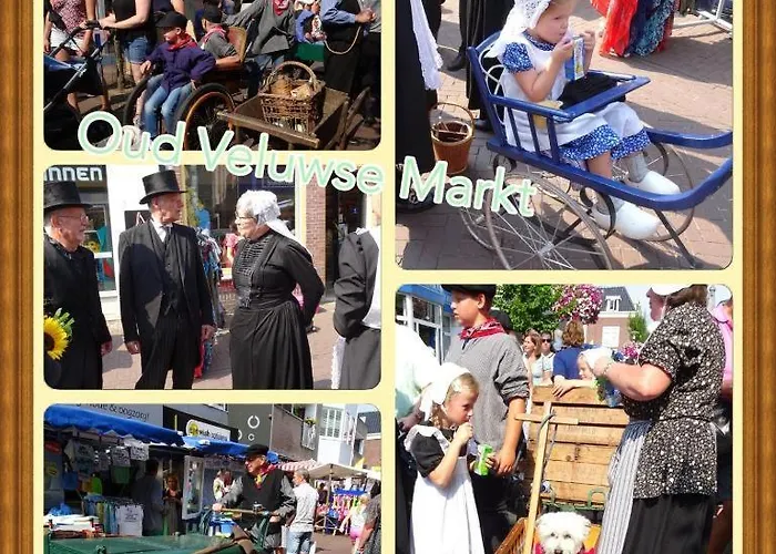 Ferienhaus Veluwe Park Reewold Eclipse *