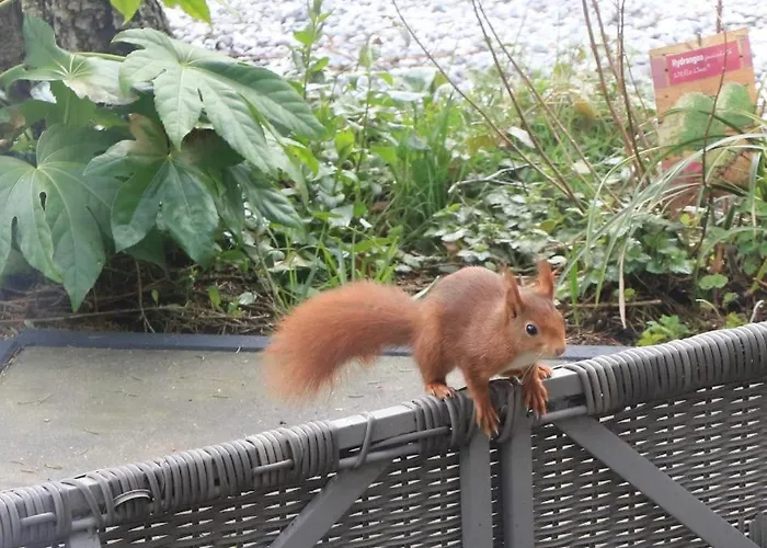 Veluwe Park Reewold Eclipse Dom wakacyjny Putten