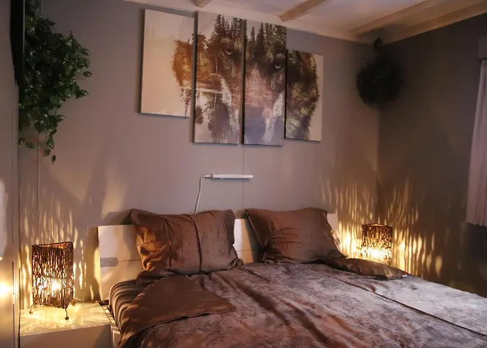 Dom wakacyjny Veluwe Park Reewold Eclipse *