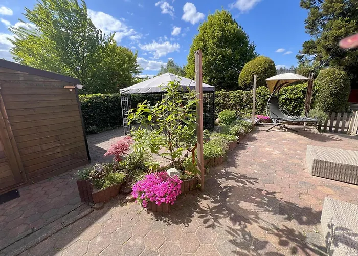 Veluwe Park Reewold Eclipse Putten