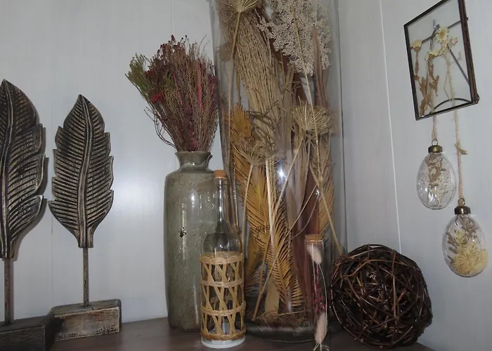 Veluwe Park Reewold Eclipse *