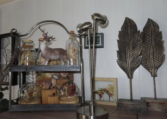 Veluwe Park Reewold Eclipse Ferienhaus *