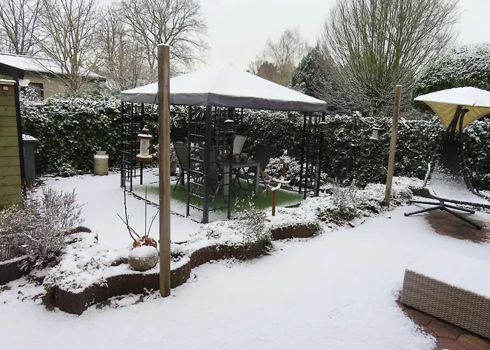 Veluwe Park Reewold Eclipse