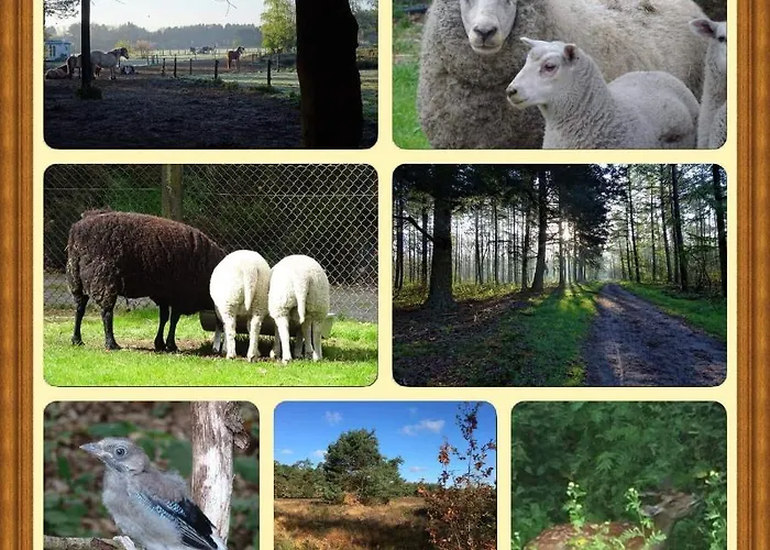 Сasa de vacaciones Veluwe Park Reewold Eclipse