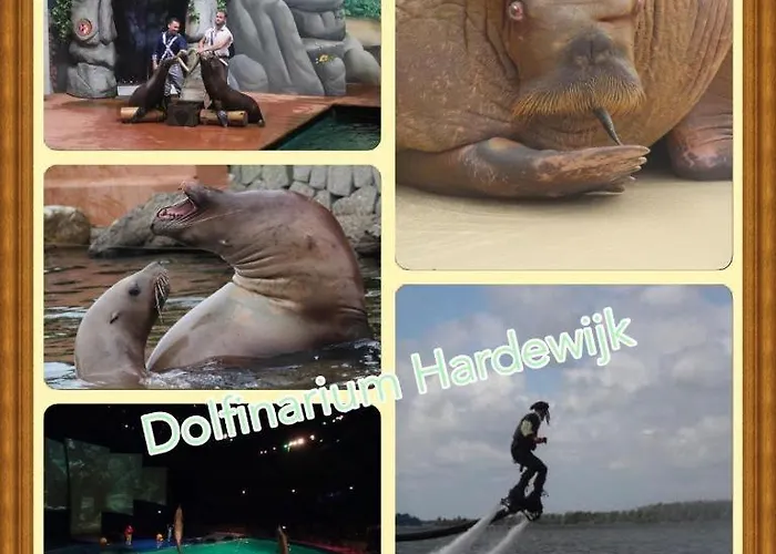 Сasa de vacaciones Veluwe Park Reewold Eclipse