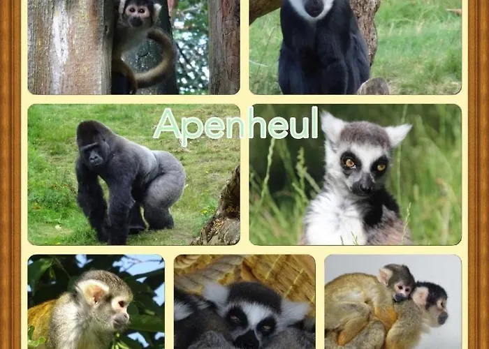 Сasa de vacaciones Veluwe Park Reewold Eclipse