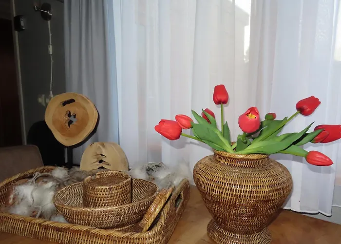 Veluwe Park Reewold Eclipse Putten