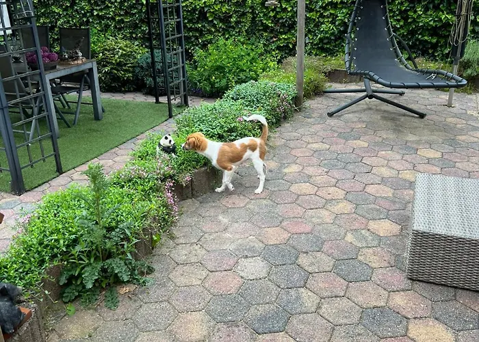 Veluwe Park Reewold Eclipse *